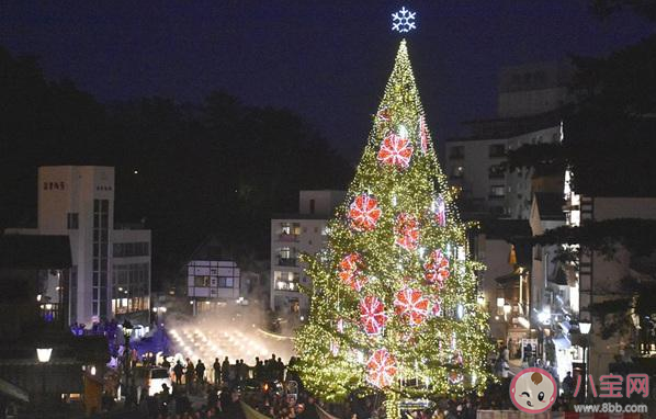 全球最贵的圣诞树价值多少 全球最贵的圣诞树长什么样子