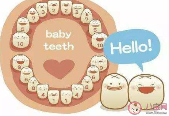 宝宝长牙阶段要注意什么 宝宝开始长牙妈妈要怎么护理