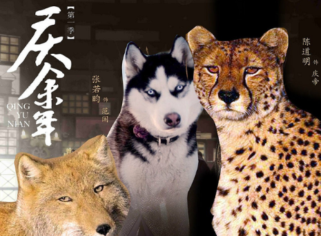 庆余年动物版海报合集 庆余年版动物世界图片