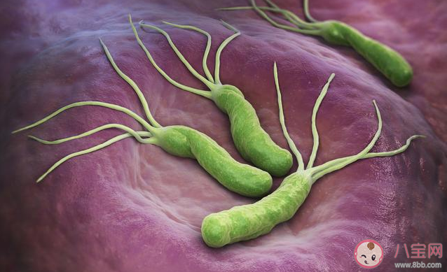 幽门螺旋杆菌治疗可以根治吗 幽门螺旋杆菌会引起哪些疾病