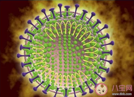 武汉新型冠状病毒感染的肺炎病怎么预防 新型冠状病毒感染的肺炎是什么症状