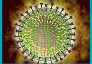 武汉新型冠状病毒感染的肺炎病怎么预防 新型冠状病毒感染的肺炎是什么症状