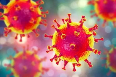 新型冠状病毒肺炎怎么预防 预防新型冠状病毒肺炎科学方法