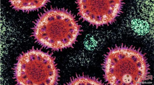 新型冠状病毒肺炎被纳入法定传染病是什么意思 法定传染病通常具备什么特点