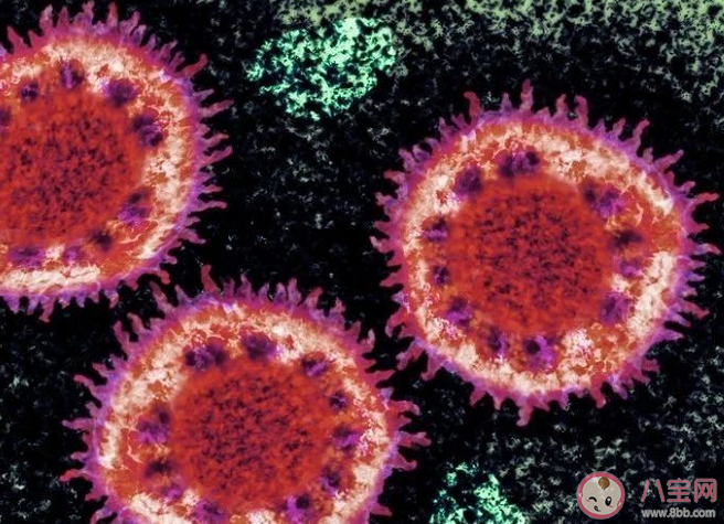 武汉肺炎和sars有什么区别 新型冠状病毒传染性比SARS弱真的吗