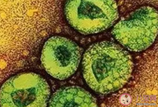 武汉新型冠状病毒肺炎传播途径是什么 汉不明肺炎会通过快递传播吗