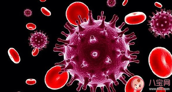 新型冠状病毒是什么引起的 新型肺炎是什么动物引起的