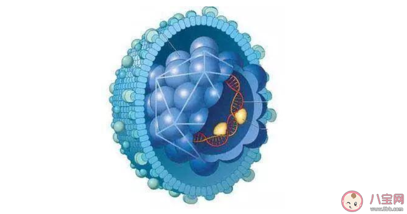 84消毒液能杀死新型冠状病毒吗 什么消毒液对新型冠状病毒有效