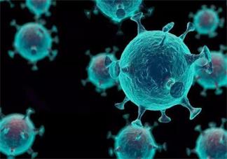 新型冠状病毒肺炎通过气溶胶传播是什么意思 什么叫气溶胶传播