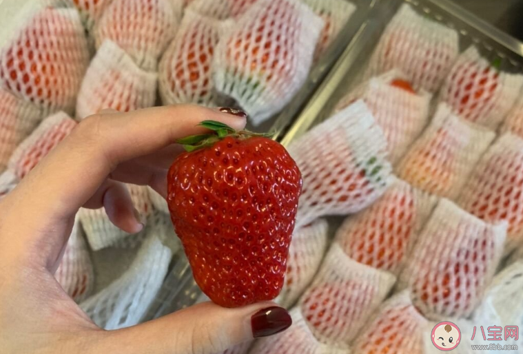 吃草莓发什么心情句子 2020吃草莓发什么说说感慨