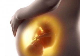 孩子在妈妈肚子里有哪些特征是定型了 在妈妈肚子里定型的几大特征