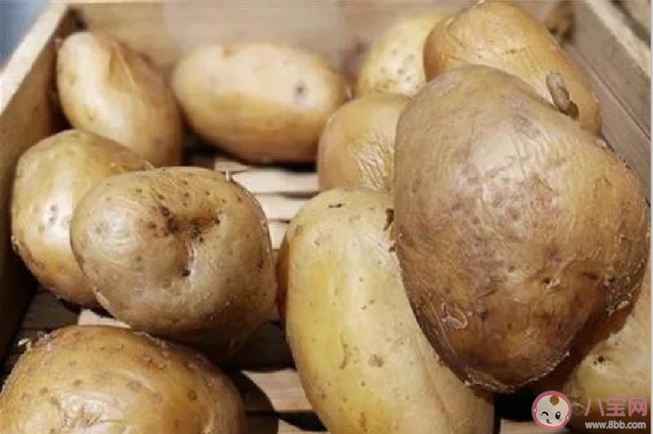 土豆发芽|土豆发芽了还能吃吗 吃了发芽的土豆会中毒吗