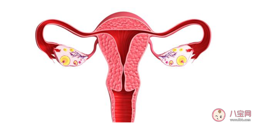 子宫输卵管造影检查后多久可以怀孕 输卵管造影有副作用吗