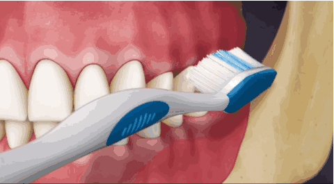 孩子长牙齿的顺序是什么样的 孩子出牙后要怎么给孩子进行清洁