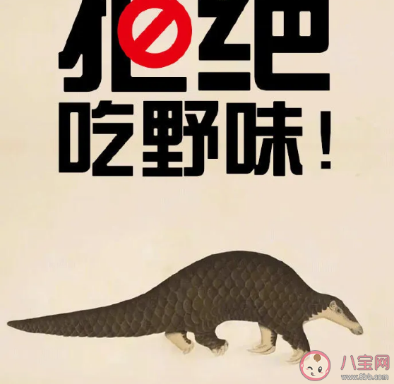 广东禁食所有人工饲养陆生野生动物  陆生野生动物包括哪些动物