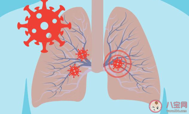 日本成功研发小型人工肺是怎么回事 小型人工肺有什么作用