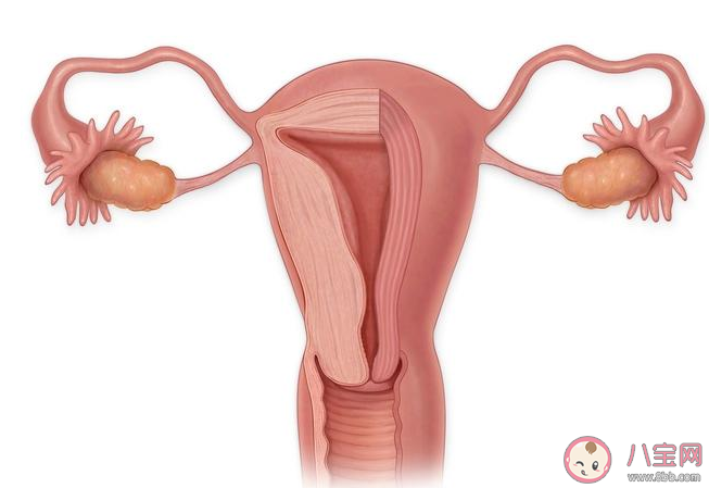 子宫内膜息肉会癌变吗 子宫息肉会影响怀孕吗