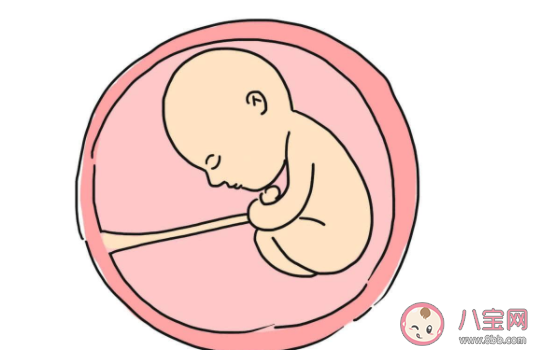 怀孕期间肚皮一跳一跳的是什么原因  胎儿打嗝和胎动有什么不一样