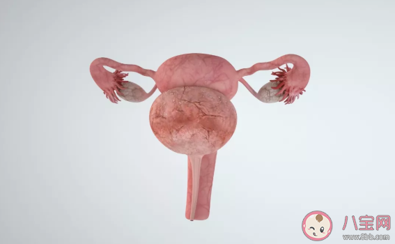 B超结果子宫内膜回声不均是什么意思 子宫内膜回声不均是什么疾病