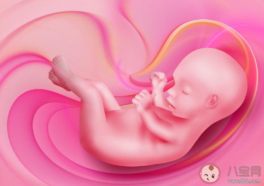 胎儿|胎儿性别是怎么发育形成的 胎儿性别发育在多少周