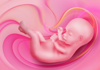胎儿性别是怎么发育形成的 胎儿性别发育在多少周