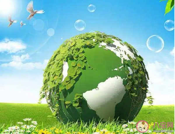 世界环境日手抄报模板合集  世界环境日手抄报内容素材大全