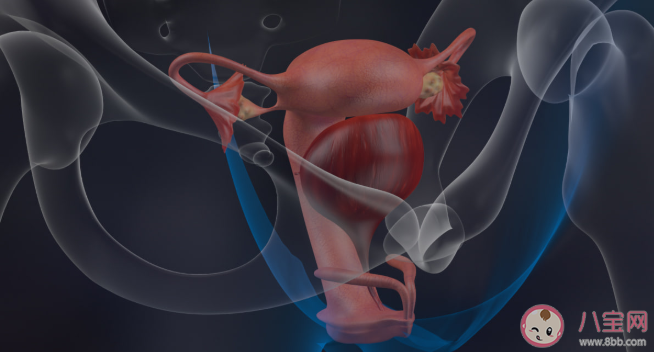输卵管粘连还能自然受孕吗 输卵管粘连怎么治疗最有效