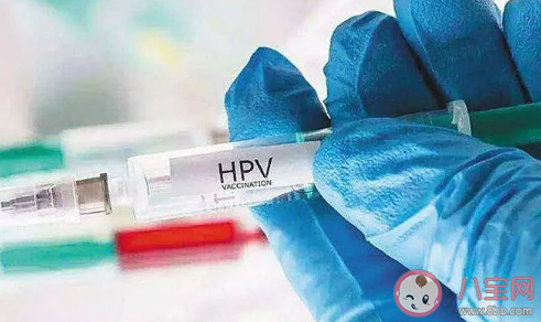 二价四价九价打哪种比较合适 如何选择HPV疫苗