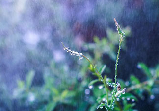 问候下雨天早安的简短句子 早安下雨天问候语
