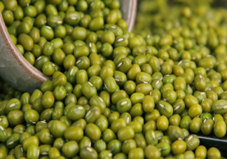 吃绿豆对尿酸偏高的人有影响吗 绿豆的嘌呤含量高不高
