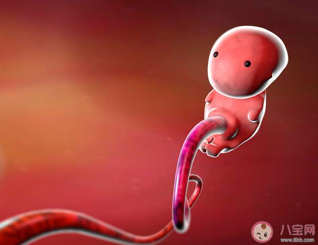 宝宝胎动|宝宝胎动是在传达什么信号 胎儿的胎动有什么规律