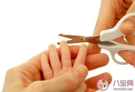 婴儿指甲钳有必要买吗 婴儿可以用大人的指甲钳吗