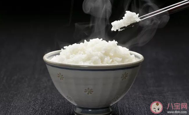 宝宝多大可以吃米饭 米饭怎么给宝宝吃