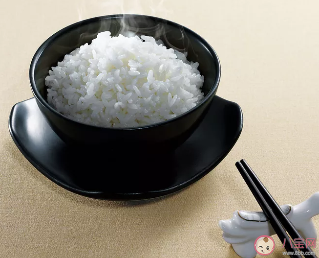 一岁宝宝能不能吃米饭 过早给宝宝吃米饭有什么危害
