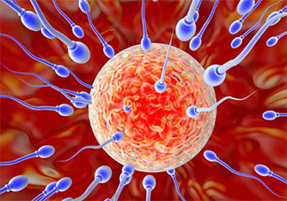 精子在体外会导致怀孕吗 女性体外怀孕的几率大吗