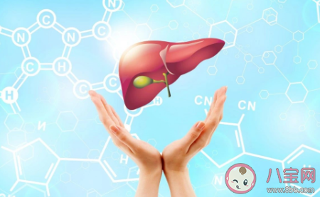 生活中怎么预防乙肝传染 2020预防肝炎的方法