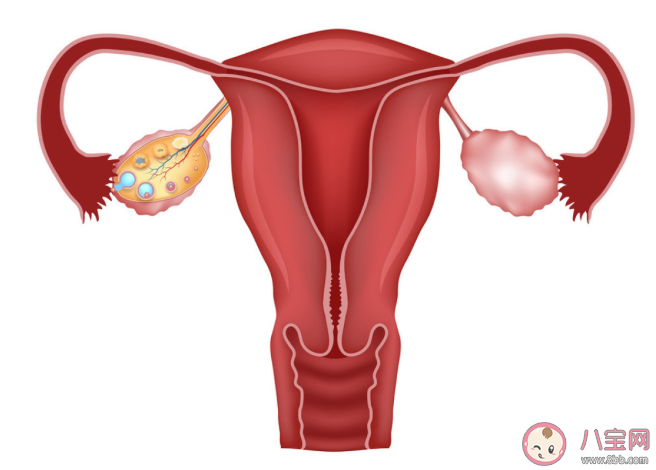 一侧输卵管通畅还能怀孕吗 输卵管有一侧不通畅要治疗吗