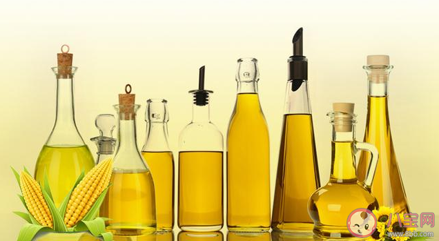 为什么提倡吃植物油 常用的7种植物油用法