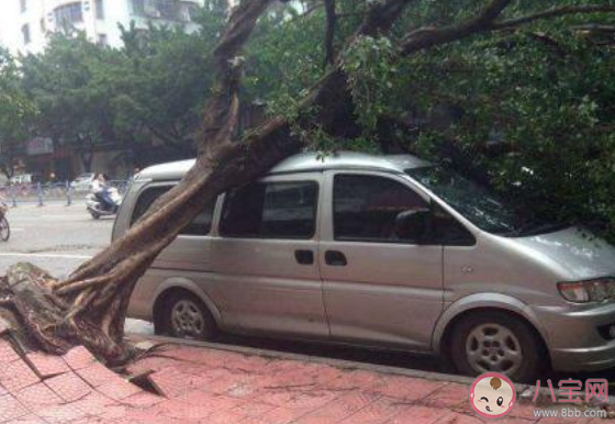 台风天气外面车停在哪里比较好 台风来了车怎么停安全