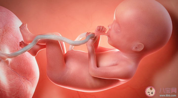 胎儿脐带绕颈能自己绕出来吗 什么情况可以绕出来