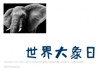 世界大象日朋友圈说说 保护大象宣传语句子
