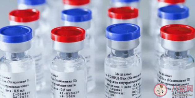 俄罗斯新冠疫苗要注射几针 俄罗斯新冠疫苗安全吗