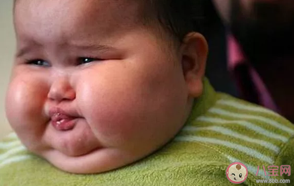 宝宝体重超标该怎么喂养 宝宝身体过胖喂养指南