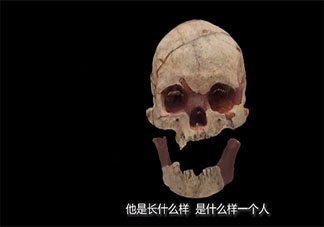 16000年前的人头骨化石长什么样子 16000年前的人头骨化石在哪里被发现了