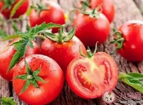 生活里没成熟的青西红柿能吃吗 支付宝最新蚂蚁庄园9月19日课堂