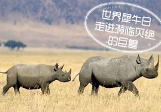 世界犀牛日拒绝买卖野生动物文案说说 世界犀牛日保护野生动物的文案句子