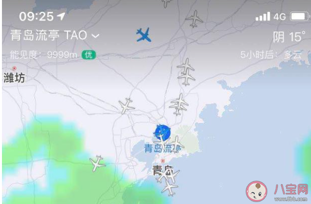青岛流亭机场近半航班取消是什么原因 青岛疫情严重吗