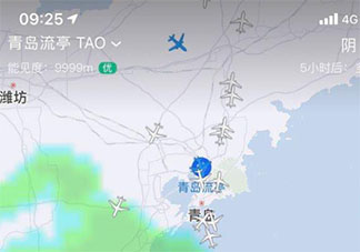 青岛流亭机场近半航班取消是什么原因 青岛疫情严重吗