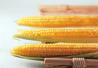 玉米价格每吨涨千元是怎么回事 玉米价格上涨的原因是什么