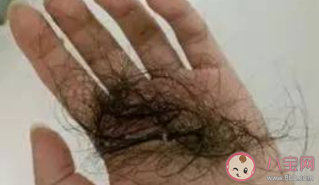美杜莎的中年烦恼是什么意思 关于脱发的心情说说